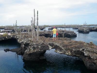 Galápagos será premiada como Mejor Isla en el Mundo