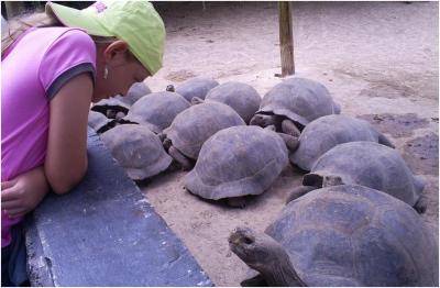 Centro de Crianza de Tortugas Gigantes