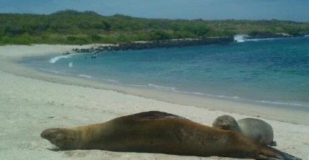 Un ambiente de relax en las islas Galápagos