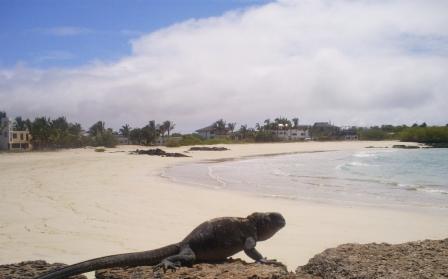Nueva temporada para disfrutarlo en Galápagos